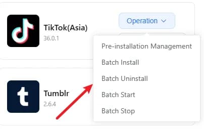 batch_op2.jpg